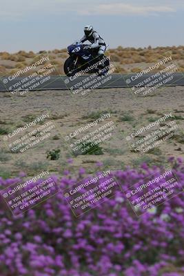 media/Jan-14-2023-SoCal Trackdays (Sat) [[497694156f]]/Turn 14 Exit Bloomig (145pm)/